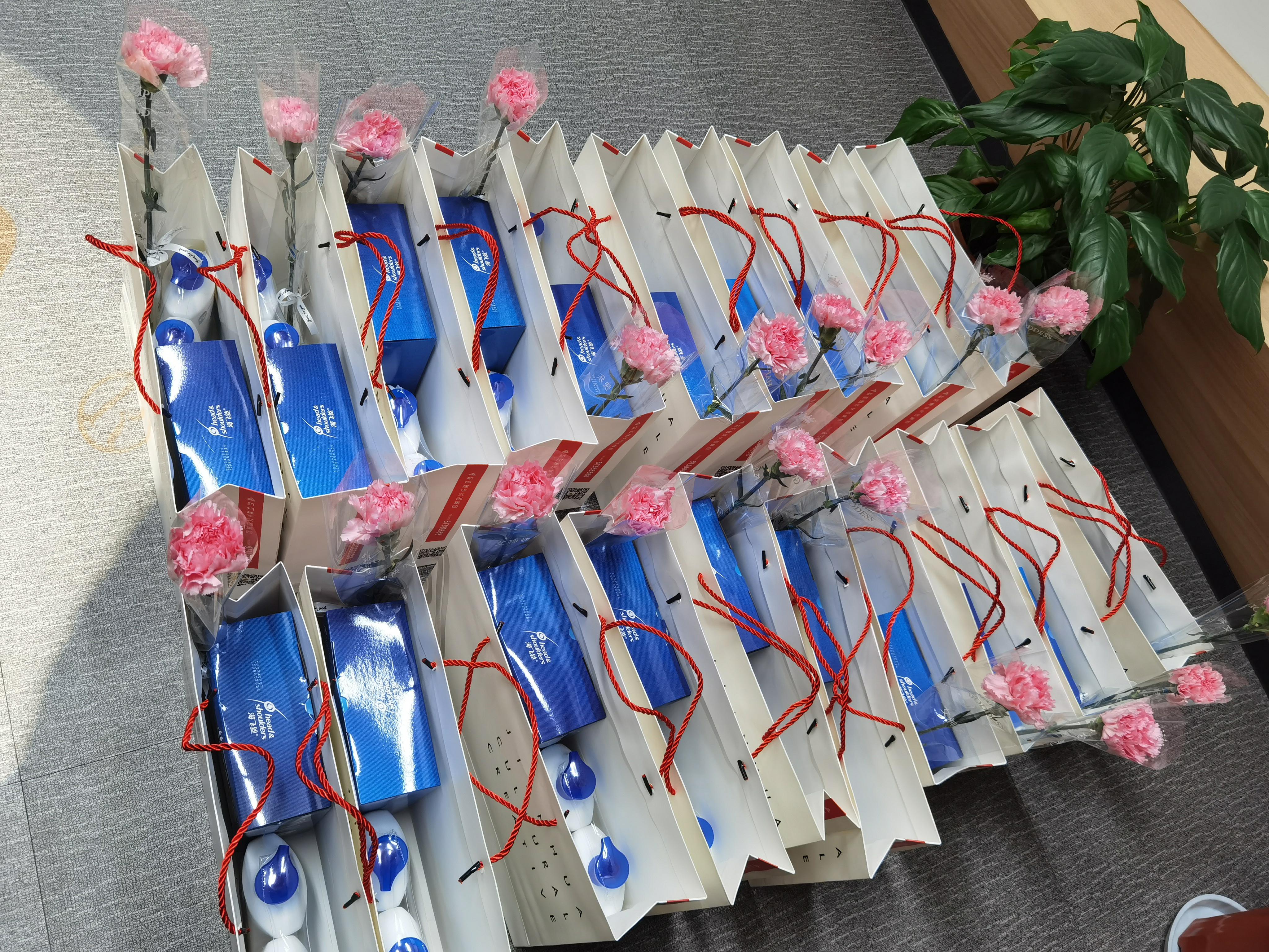 情暖三八 必赢文创集团工会积极开展送温暖活动 