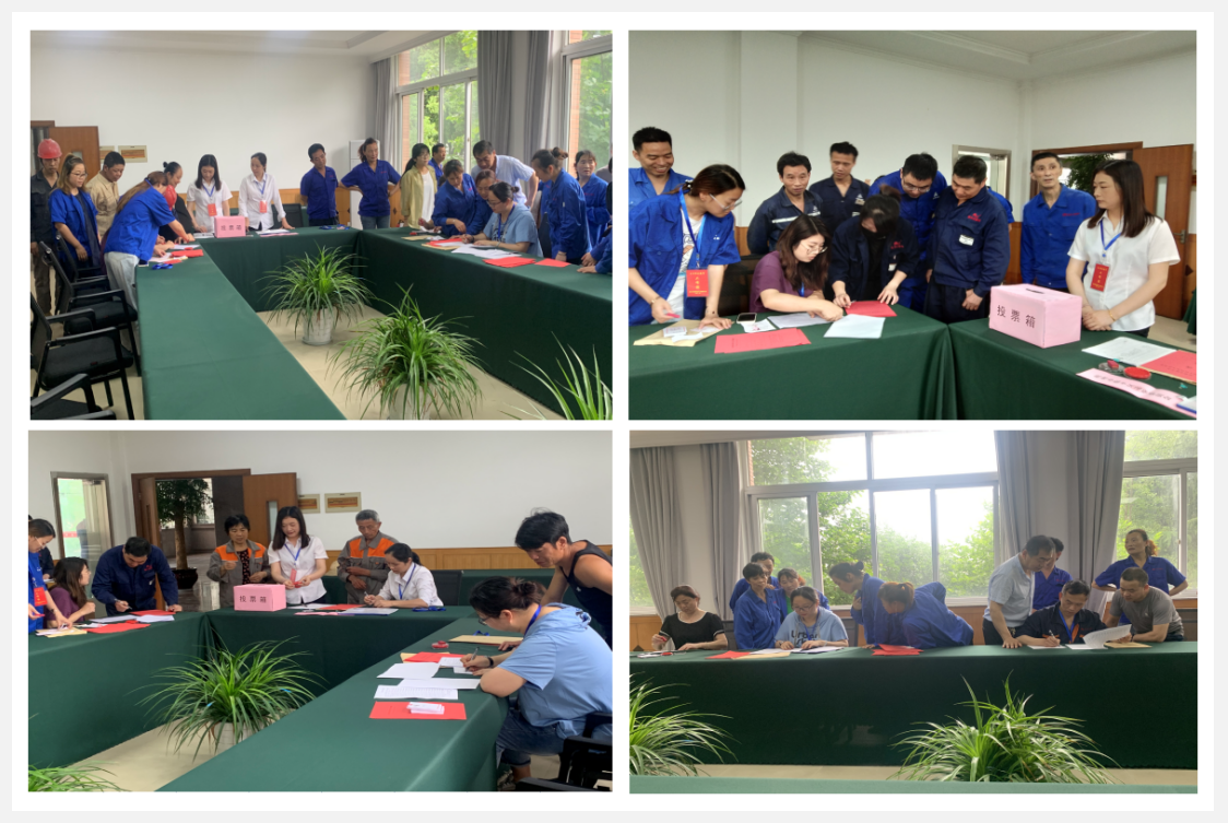参与选举，，，，，履行公民职责