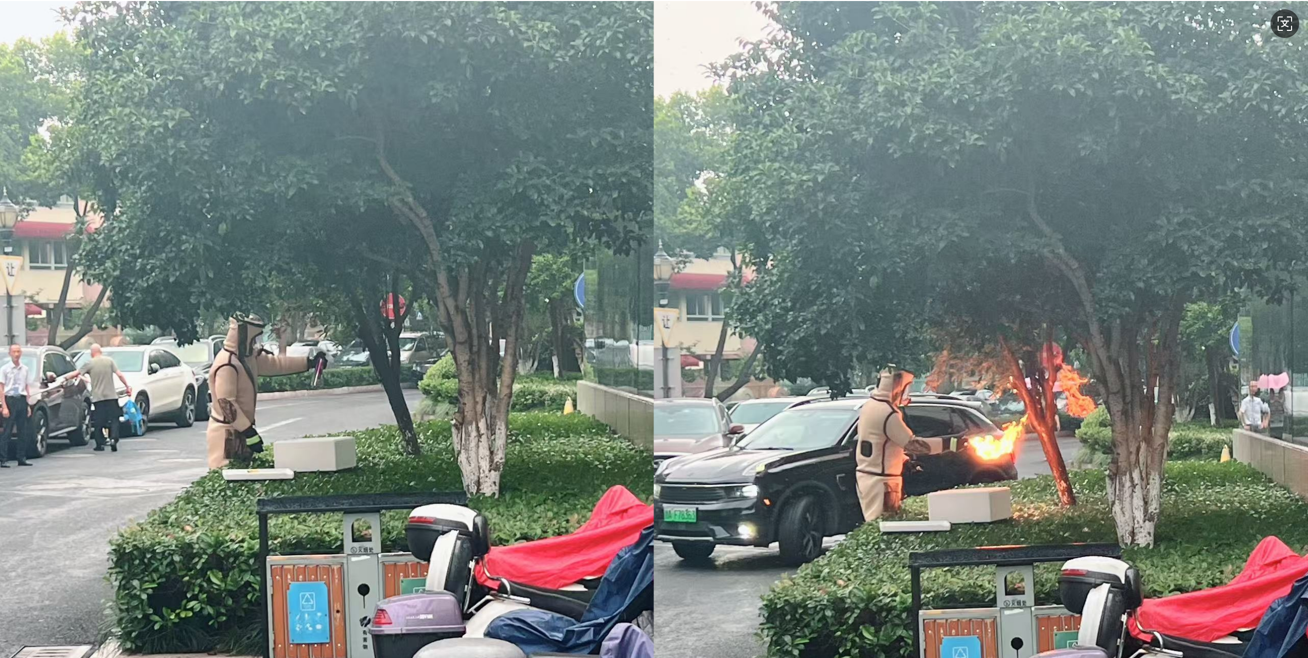 安全守护零距离，，，，，，水晶城快速处置外围蜂群隐患